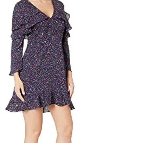 Stunning NWT BB Dakota Dress - Picture 2 of 7